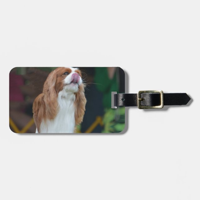 Söt stolt Spaniel för kung Charles Bagagebricka (Horisontell Framsida)