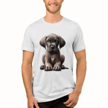 Söt stor dansk puppy