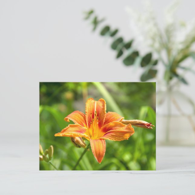 Söt stor Lilja blomma foto Vykort (Stående Fram)
