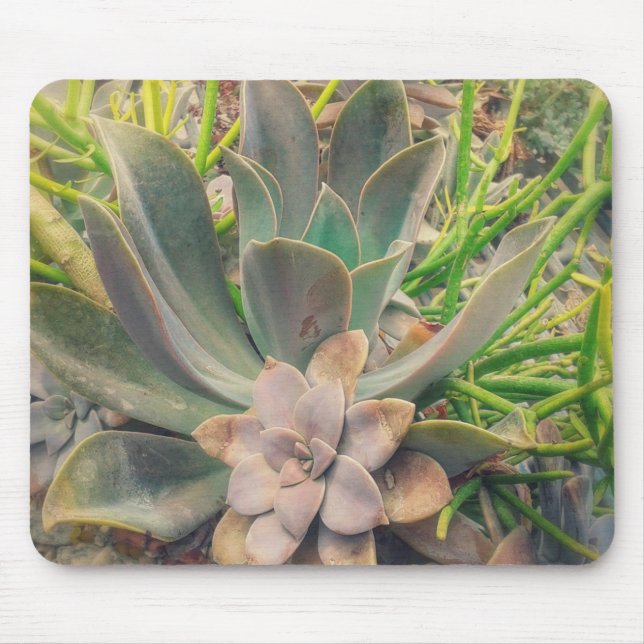 Söt Succulants Musmatta (Framsidan)