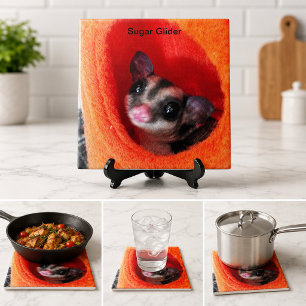 Söt Sugar Glider Orange Sövpåse Husdjur Dekoration Kakelplatta