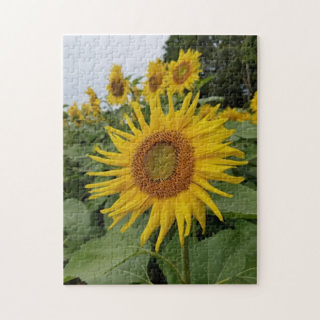 Söt Sunblommor Pussel (Vertikal)