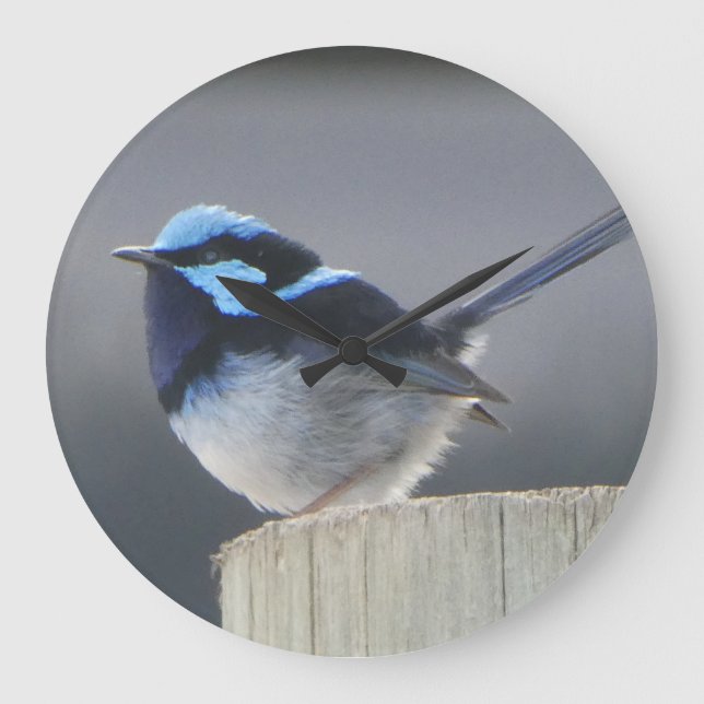Söt Superb Fairywren Väggklocka (Framsida)