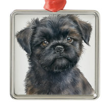 SÖT SVART AFFENPINSCHER VALP