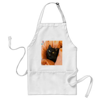 Söt svart katt förkläde