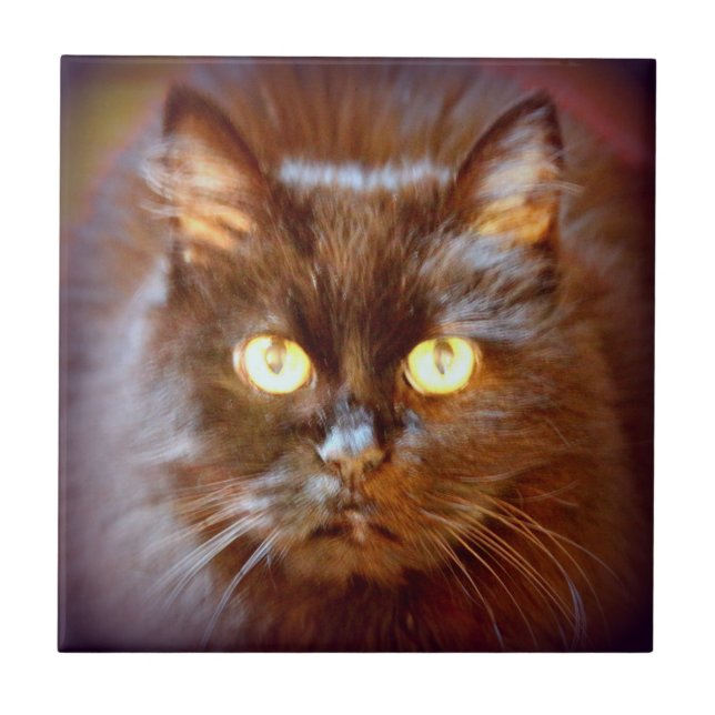 söt svart katt kakelplatta (Framsidan)