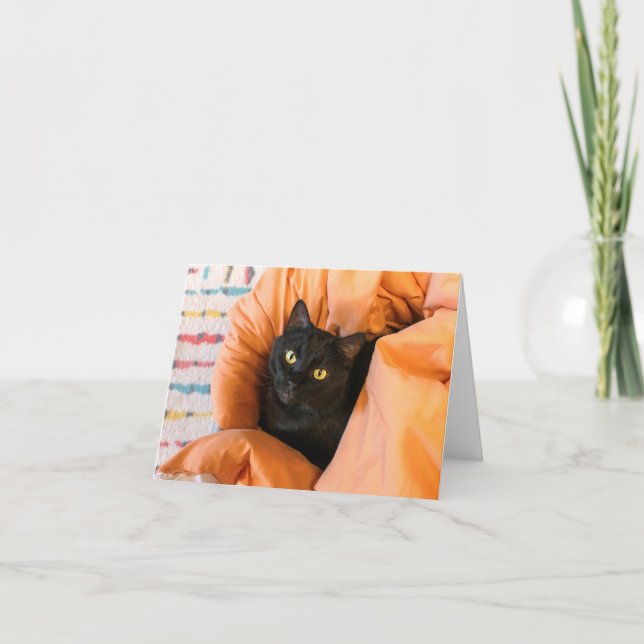 Söt svart katt kort (Framsida)