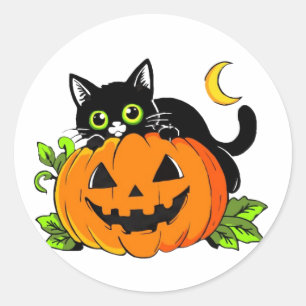 Söt svart katt på halloween-jack-o'-lantern-pumpa runt klistermärke