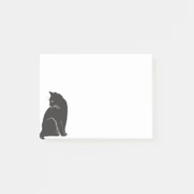 Söt Svart Katt