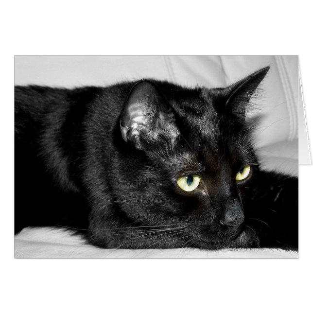 Söt svart kattporträtt hälsningskort (Framsidan Horizontal)