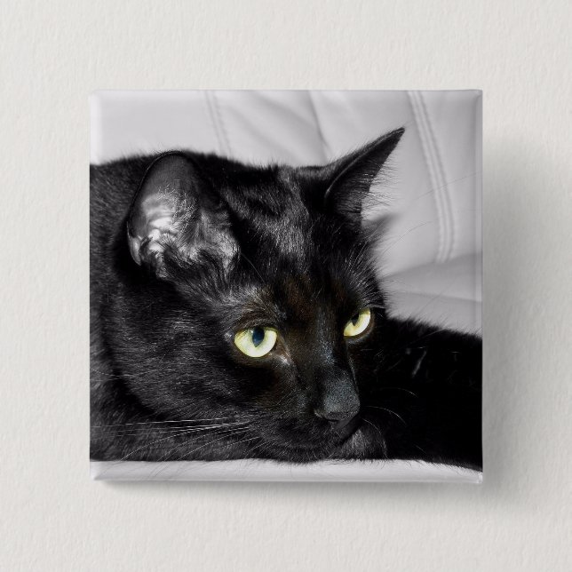 Söt svart kattporträtt knapp (Framsida)