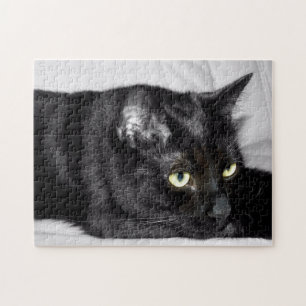 Söt svart kattporträtt pussel