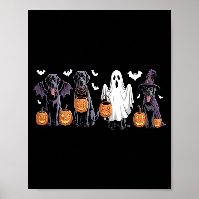 Söt svart labrador hund Halloween pumpa labrador Poster (Framsidan)