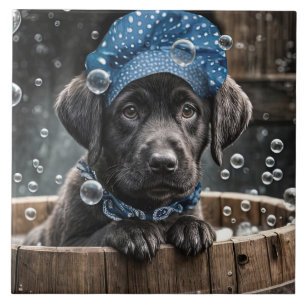 Söt svart labrador-valp i spa bubbelbad kakelplatta