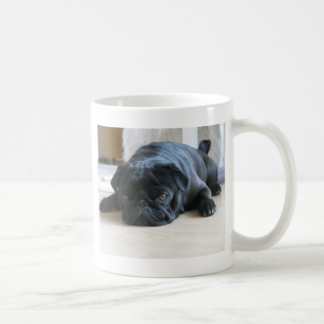 Söt svart mops som sover kaffemugg (Höger)