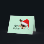 Söt svart och tan chihuahua-valp med tomtehatt kort<br><div class="desc">Söt svart och tan chihuahua-valp med tomtehatt. Liten mexikansk ras av leksakshund, kan vara aggressiv och hängiven. Kolla in mina prisvärda presentidéer för vänner och familj.</div>