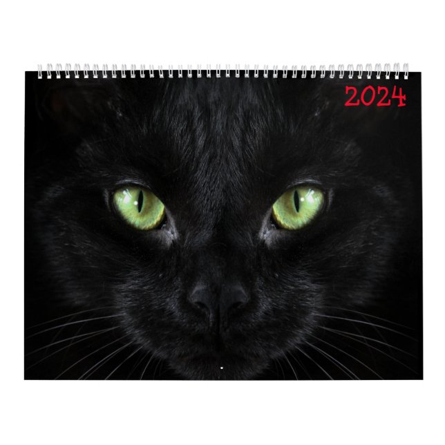 Söt svarta katter kalender (Omslag)