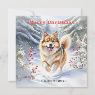 Söt svensk lapphund hund snö God Jul Julkort