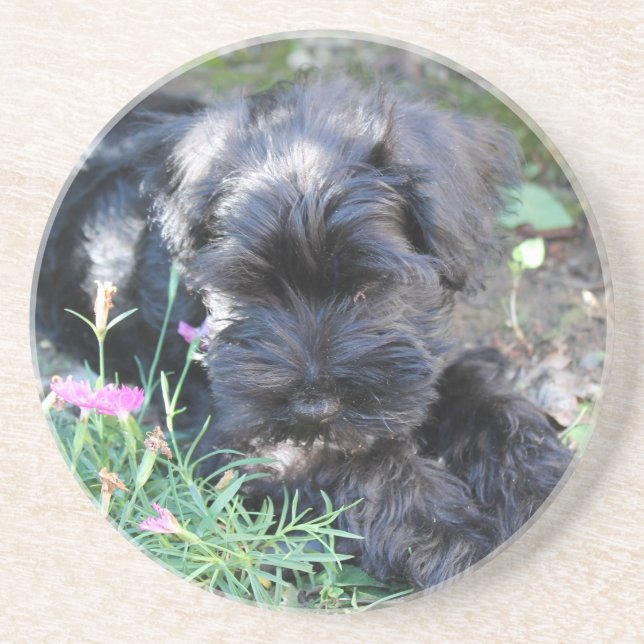 Söt terrier hund underlägg (Framsidan)