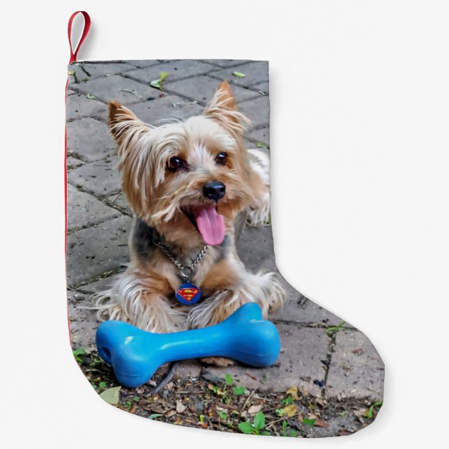 Söt Terrier Liten Julstrumpa (Framsidan)