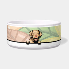 Söt tittande Chesapeake Bay Retriever, mat/dryck