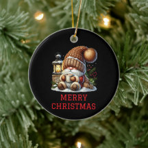 Söt Tomte Jul
