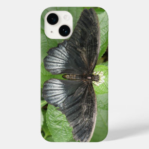 Söt Tropical Butterfly and Flowers