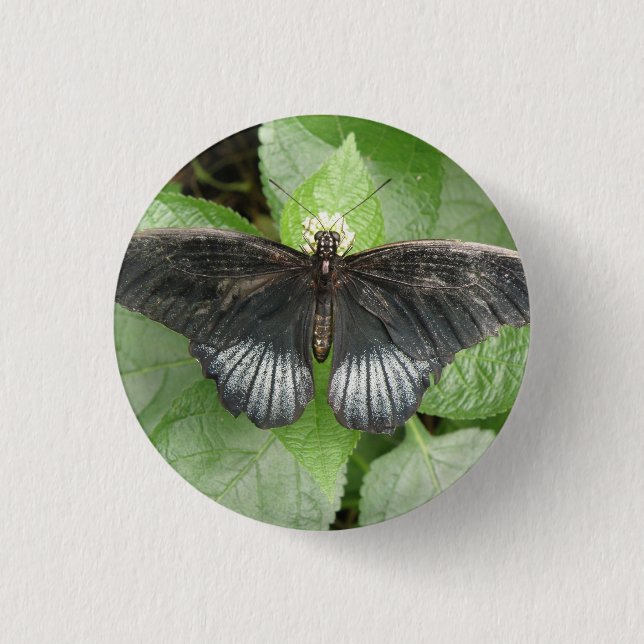 Söt Tropical Butterfly and Flowers Button Knapp (Framsida)