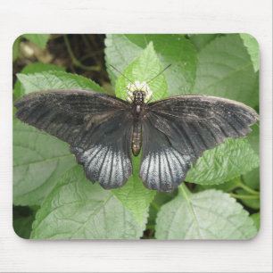 Söt Tropical Butterfly and Flowers Mousepad Musmatta