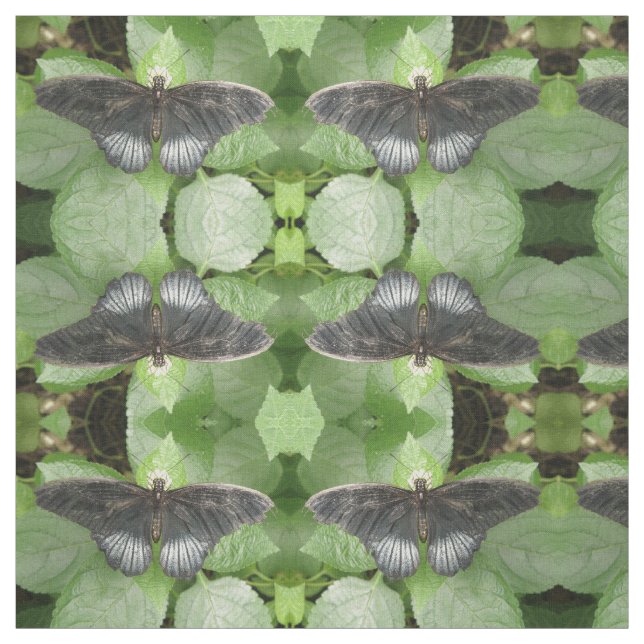Söt Tropical Butterfly and Flowers Patternated Tyg (Provkarta)