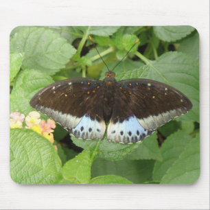 Söt Tropical Butterfly Mousepad Musmatta
