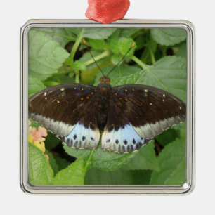 Söt Tropical Butterfly Ornament