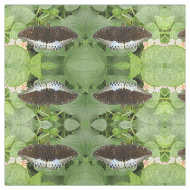 Söt Tropical Butterfly Patterned Animal Fabric Tyg (Provkarta)