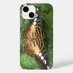Söt Tropical Clipper Butterfly