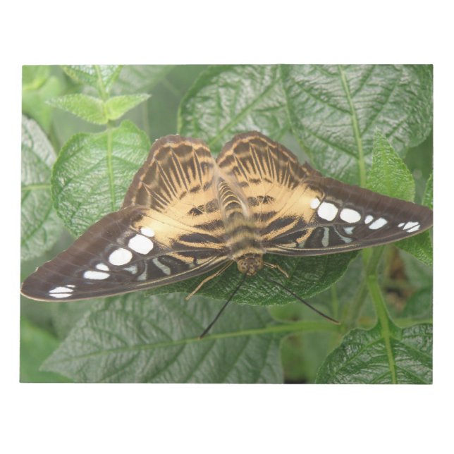 Söt Tropical Clipper Butterfly Anteckningsblock (Framsida)