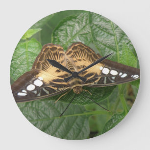 Söt Tropical Clipper Butterfly Wall Clock Stor Klocka