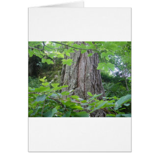 Söt trunk hälsningskort