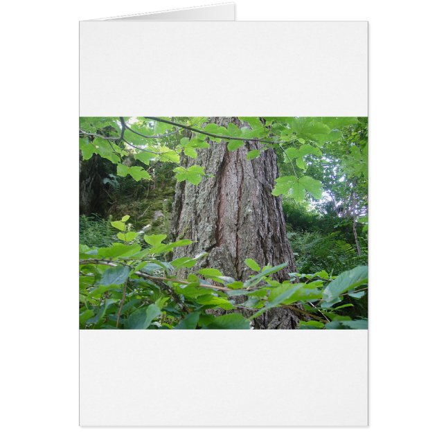 Söt trunk hälsningskort (Framsidan)