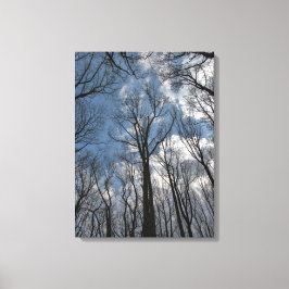 Söt Tulip Poplar Träd Cloudy Blå himmel Canvastryck