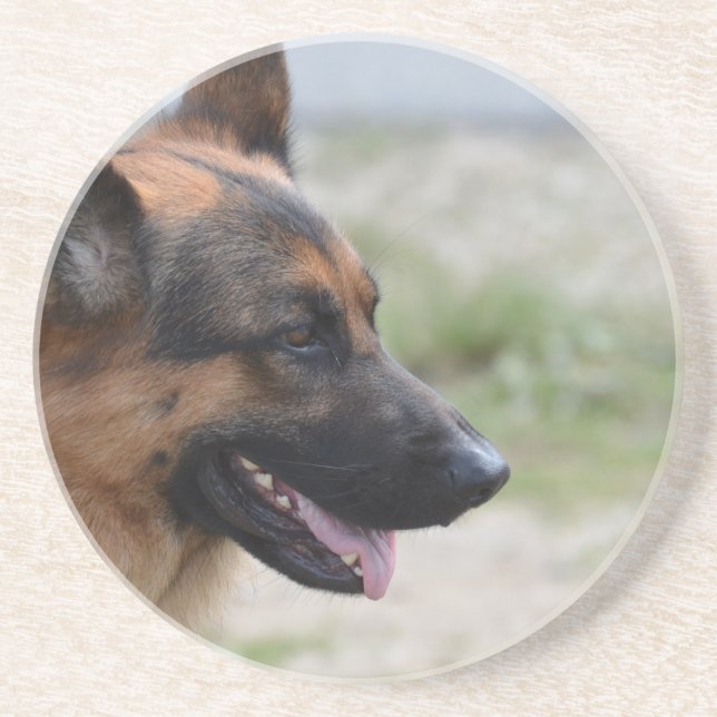 Söt tysk herdehund underlägg sandsten (Framsidan)