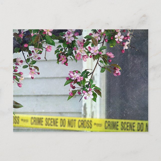 Söt Ugly Vykort (Framsida)