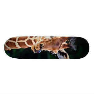söt ung giraff skateboard bräda 20 cm