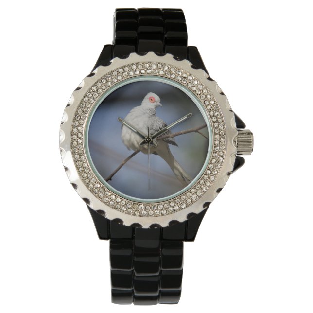 Söt, vacker Diamond Dove Armbandsur (Framsida)