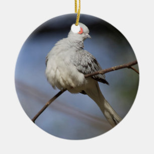 Söt, vacker Diamond Dove Julgransprydnad Keramik