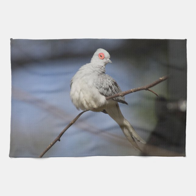 Söt, vacker Diamond Dove Kökshandduk (Horisontell)