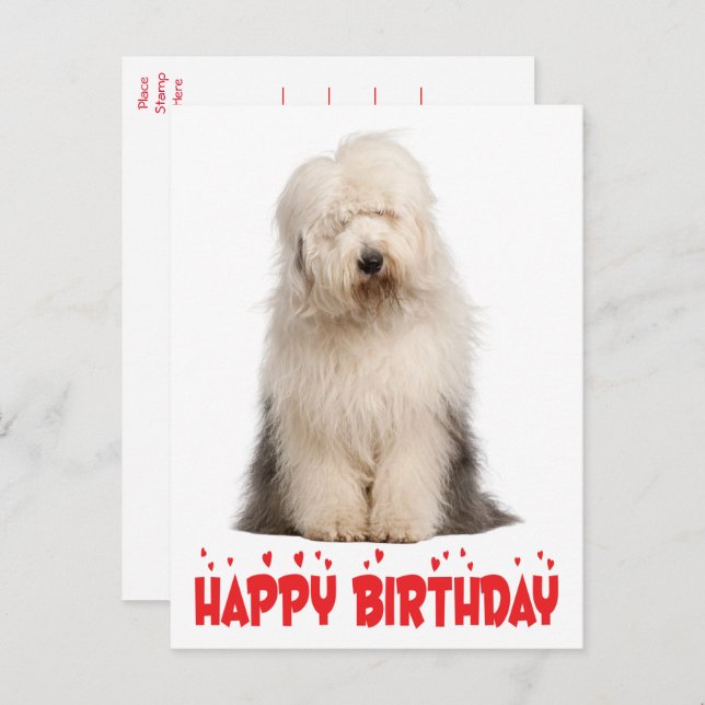 Söt Valp Gammal Engelsk Fårhund Födelsedag  Postko Vykort (Fram/baksida)