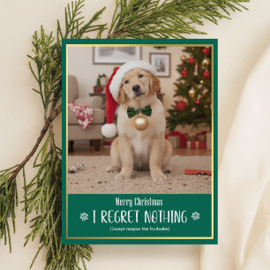 Söt Valp Julhatt Hund Foto God Jul Helg Vykort