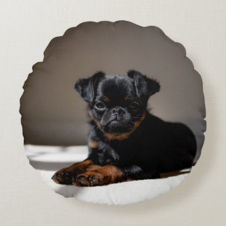Söt valp på kudden. rund kudde