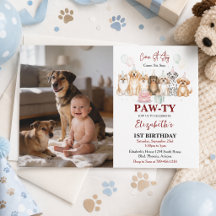 Söt Valp Pojke 1-årsdag | Pawty Tid Första