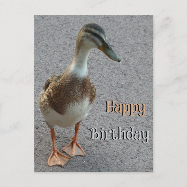 Söt vandande anka kund. Grattis på födelsedagen vy Vykort (Framsida)